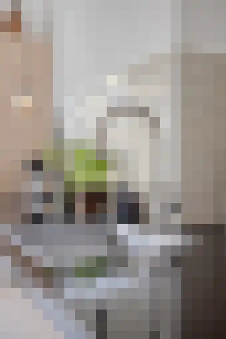 Gagelplein 1 Den Haag thumbnail 15