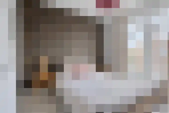 Gagelplein 1 Den Haag thumbnail 17