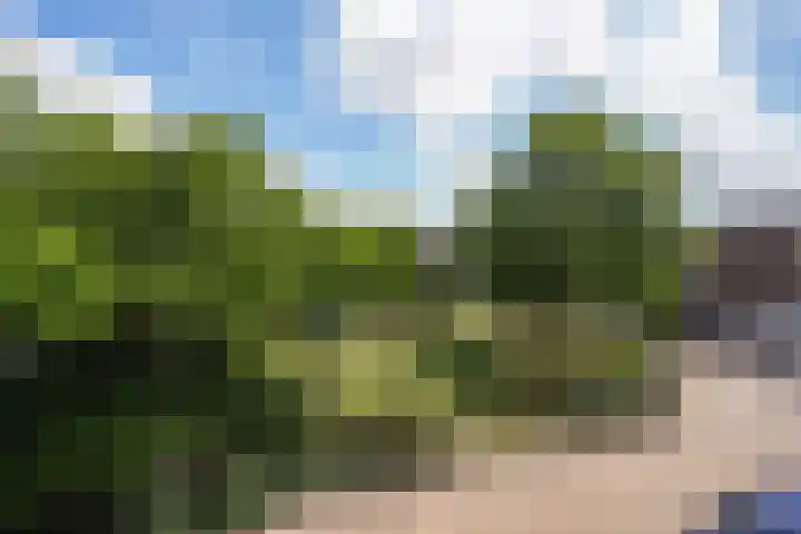 Gagelplein 21 Den Haag thumbnail 10