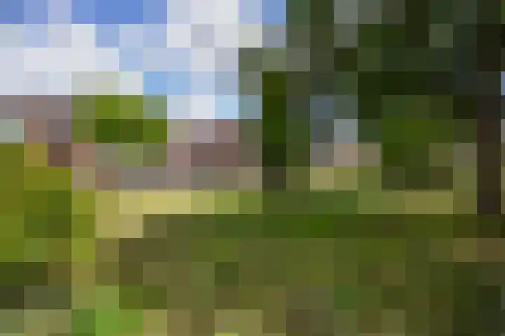 Gagelplein 21 Den Haag thumbnail 34