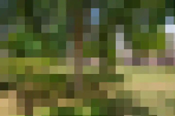 Gagelplein 21 Den Haag thumbnail 35