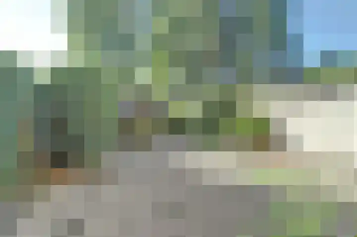 Gagelrijs 102 Rijen thumbnail 22