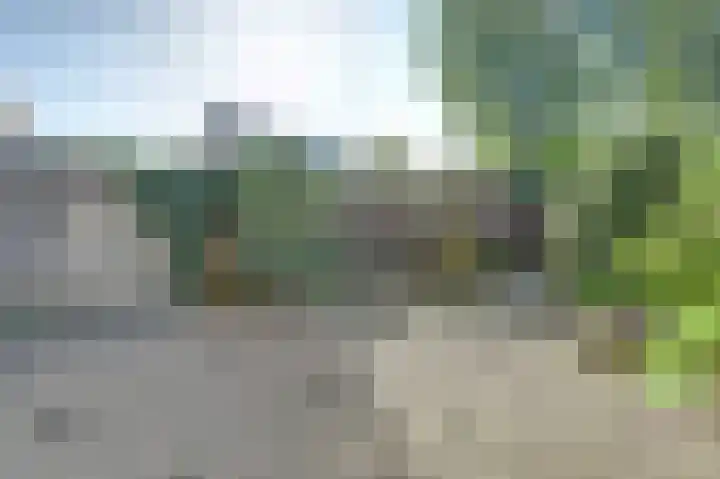 Gagelrijs 102 Rijen thumbnail 23