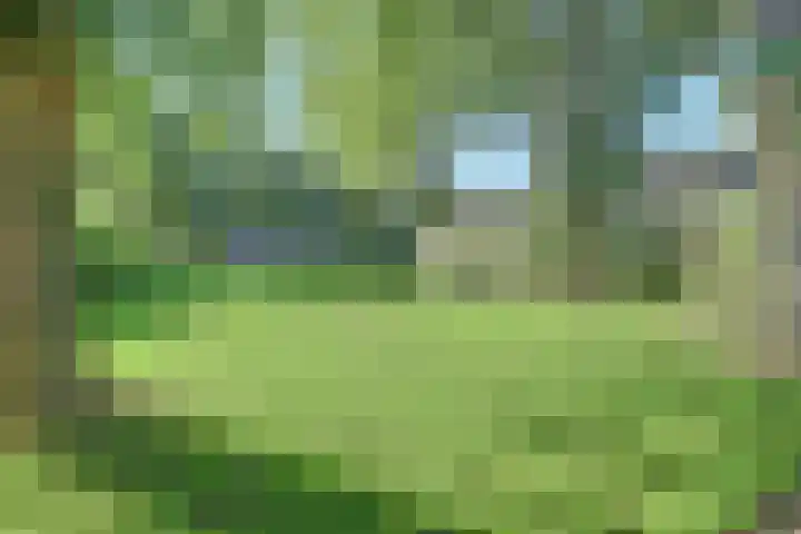 Gagelrijs 102 Rijen thumbnail 28