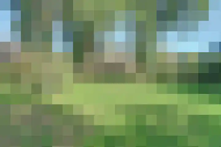 Gagelrijs 102 Rijen thumbnail 29