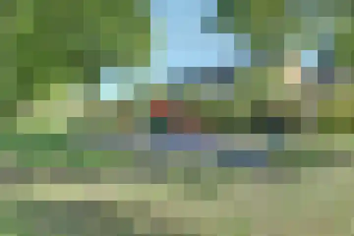 Gagelrijs 102 Rijen thumbnail 30