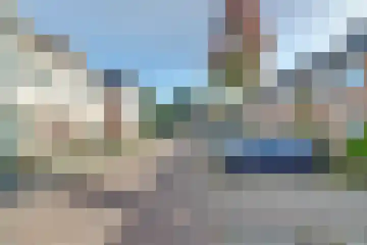 Gagelrijs 102 Rijen thumbnail 32