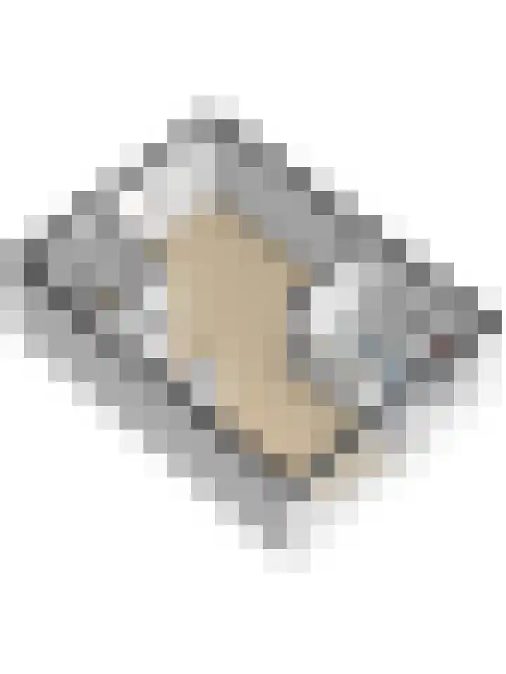 Gagelrijs 102 Rijen thumbnail 33