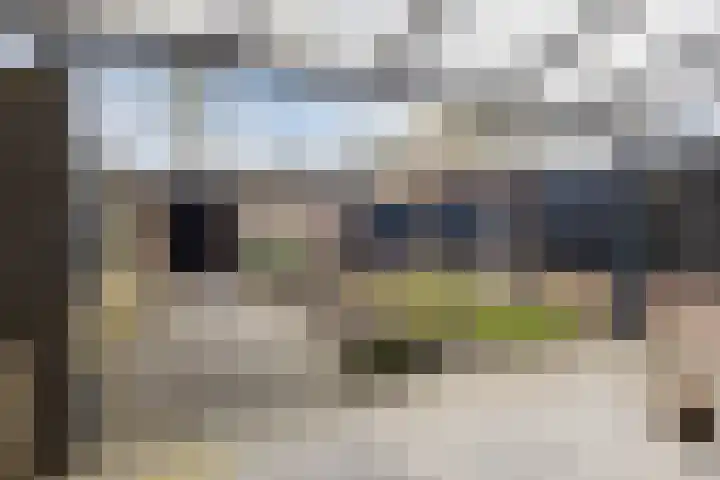 Gagelrijs 81 Rijen thumbnail 12