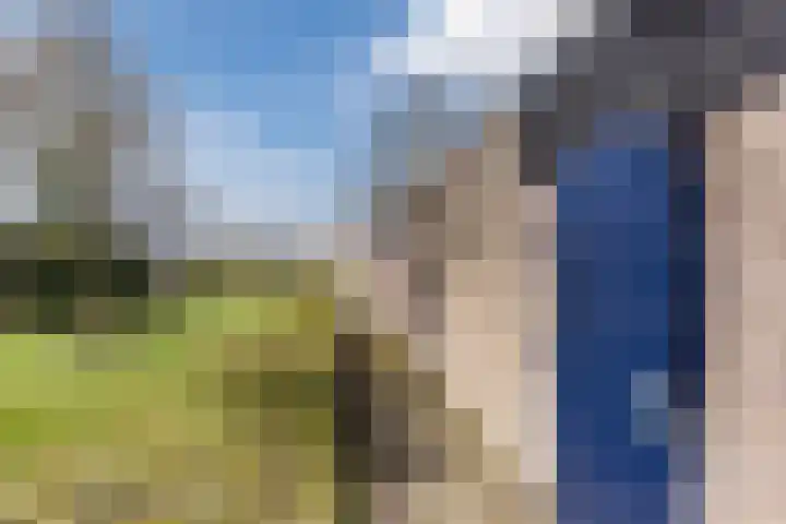 Gagelrijs 81 Rijen thumbnail 26
