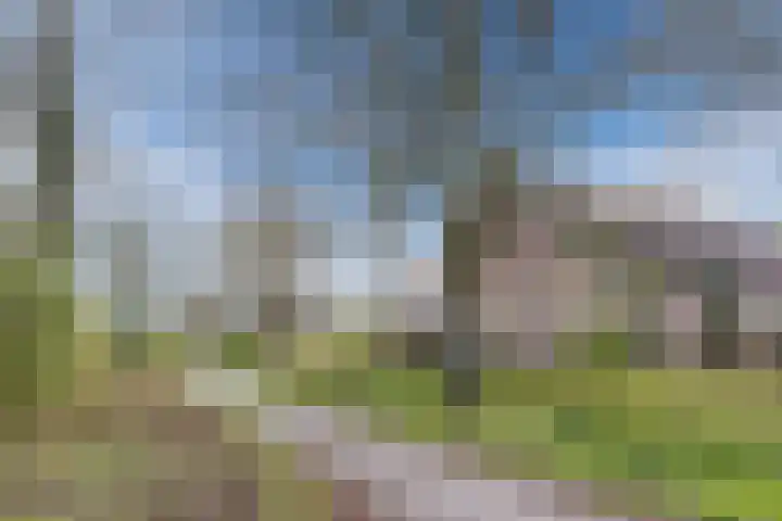 Gagelrijs 81 Rijen thumbnail 29