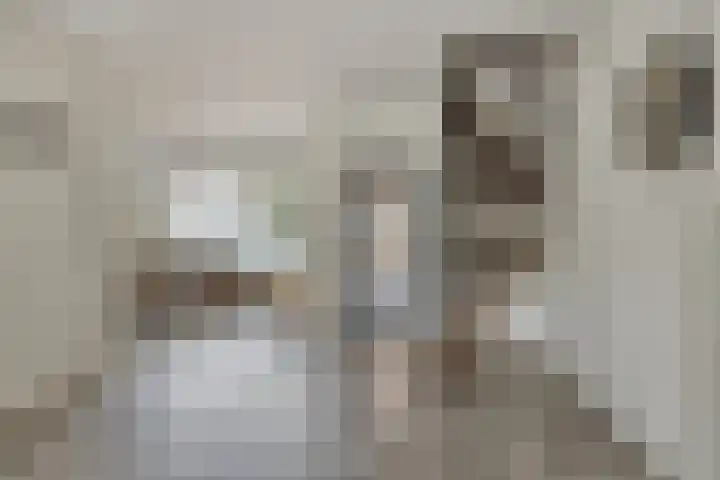 Gagelstraat 12 Maarheeze thumbnail 12