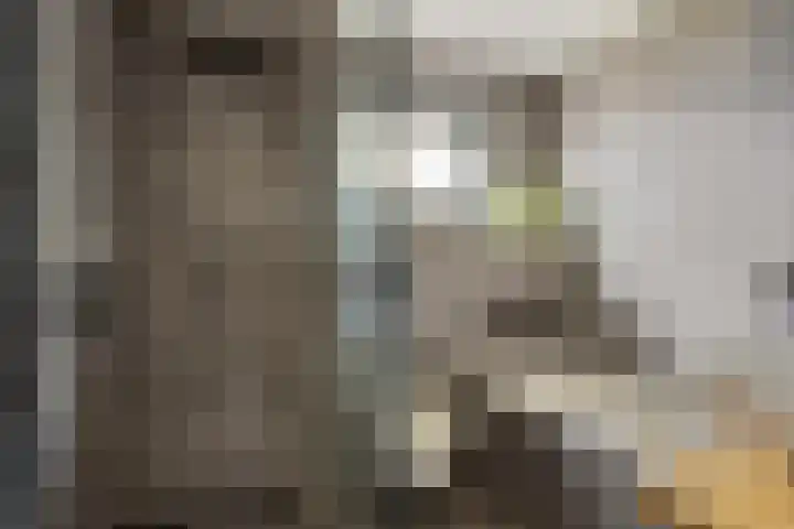 Gagelstraat 12 Maarheeze thumbnail 24