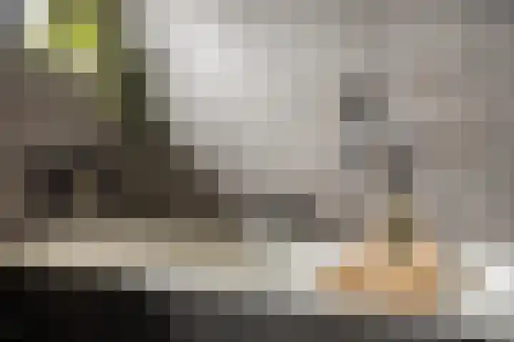 Gagelstraat 12 Maarheeze thumbnail 25