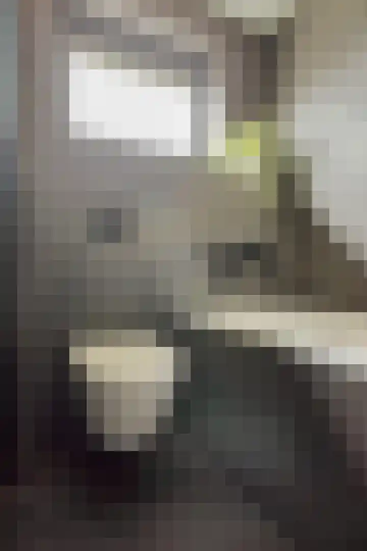Gagelstraat 12 Maarheeze thumbnail 26