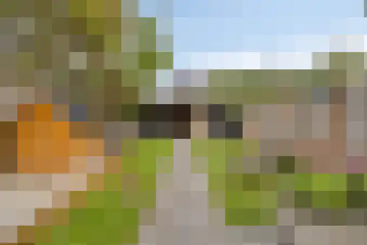 Gagelstraat 12 Maarheeze thumbnail 31