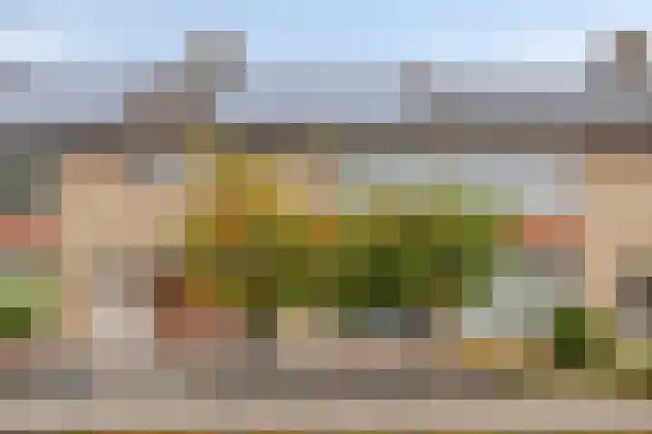Gagelstraat 12 Maarheeze thumbnail 34