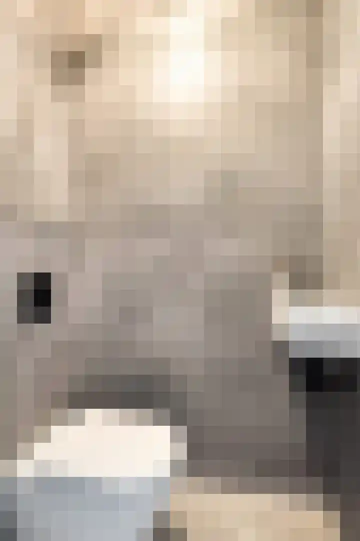 Gagelstraat 12 Maarheeze thumbnail 8