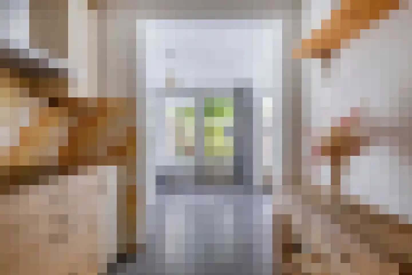 Gagelstraat 14 Maarheeze thumbnail 15