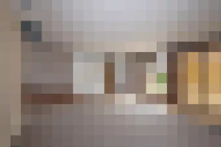 Gagelstraat 2 Borne thumbnail 11