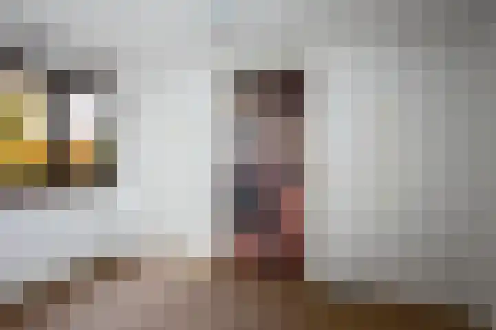 Gagelstraat 2 Borne thumbnail 20