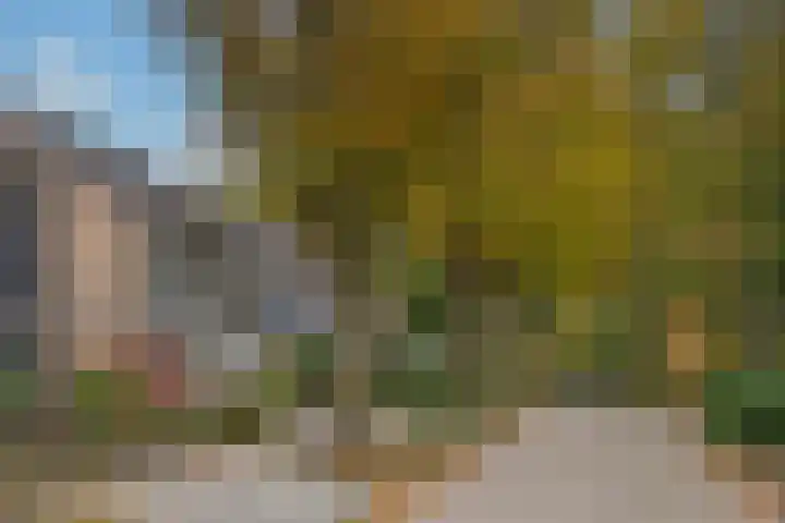 Gagelstraat 2 Borne thumbnail 30