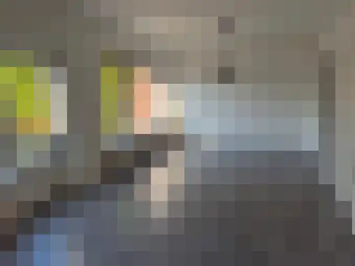 Gagelstraat 21 Valkenswaard thumbnail 7