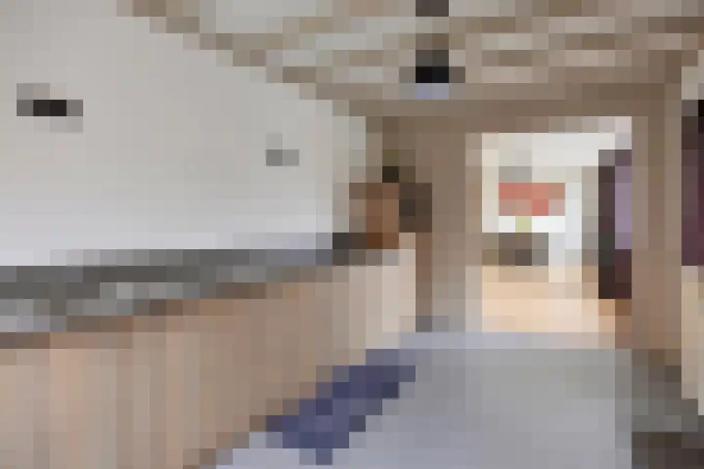 Gagelstraat 23 Hollandscheveld thumbnail 13