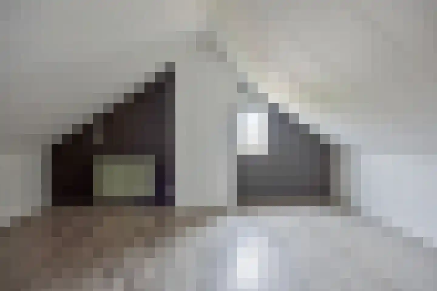 Gagelstraat 23 Hollandscheveld thumbnail 26