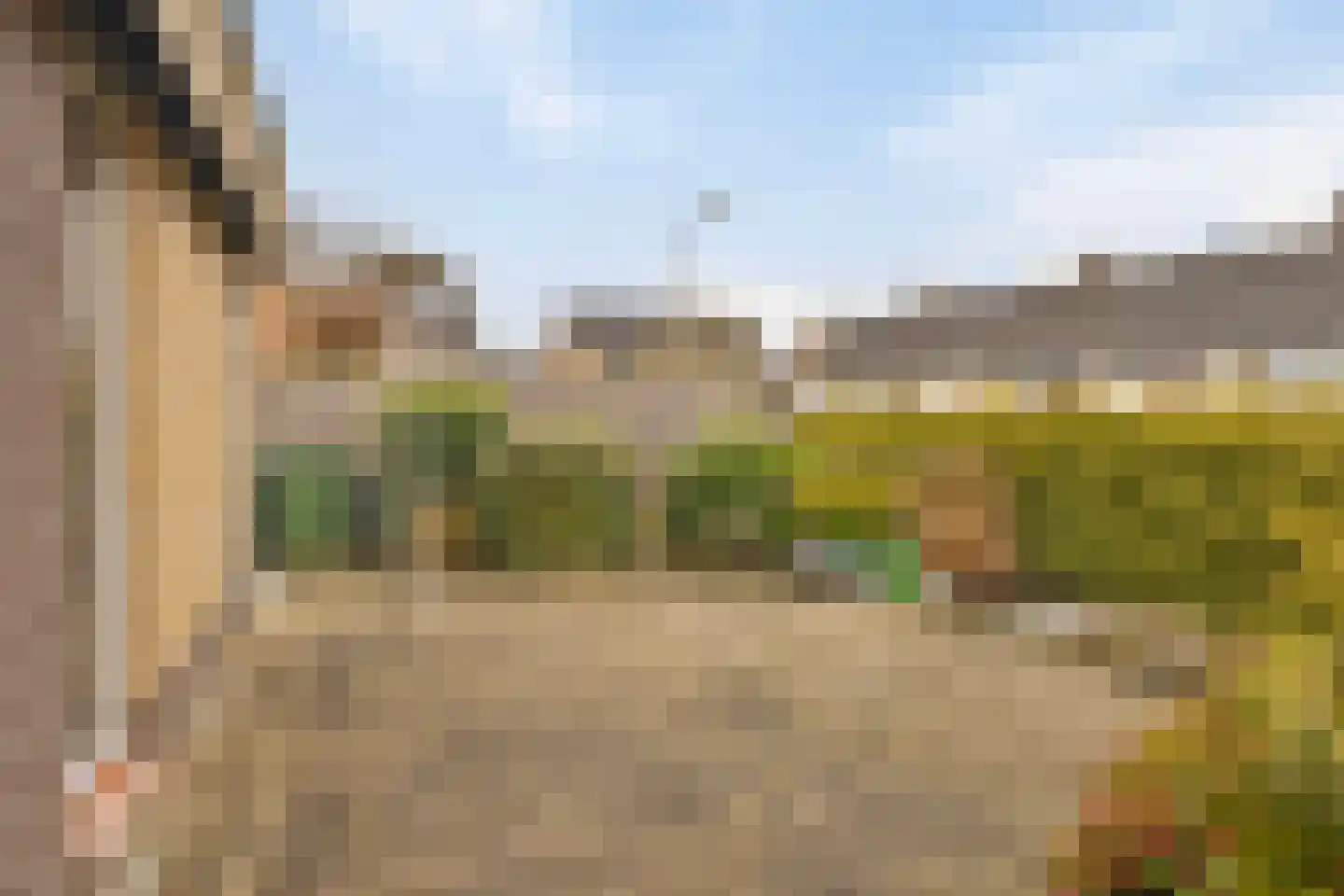 Gagelstraat 23 Hollandscheveld thumbnail 29