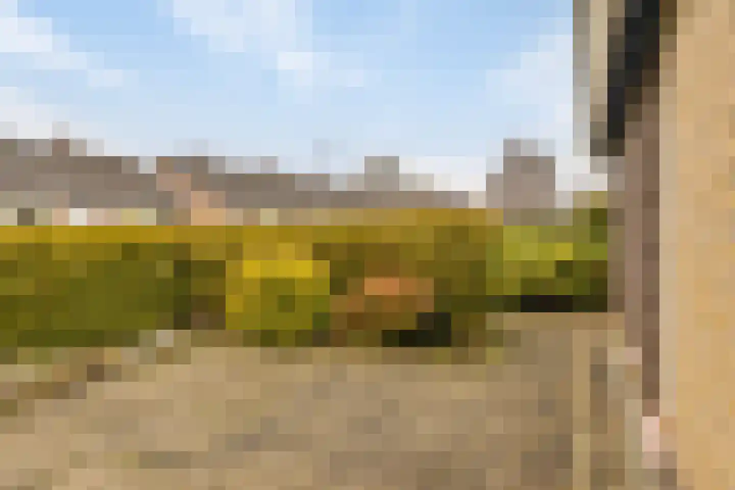 Gagelstraat 23 Hollandscheveld thumbnail 30