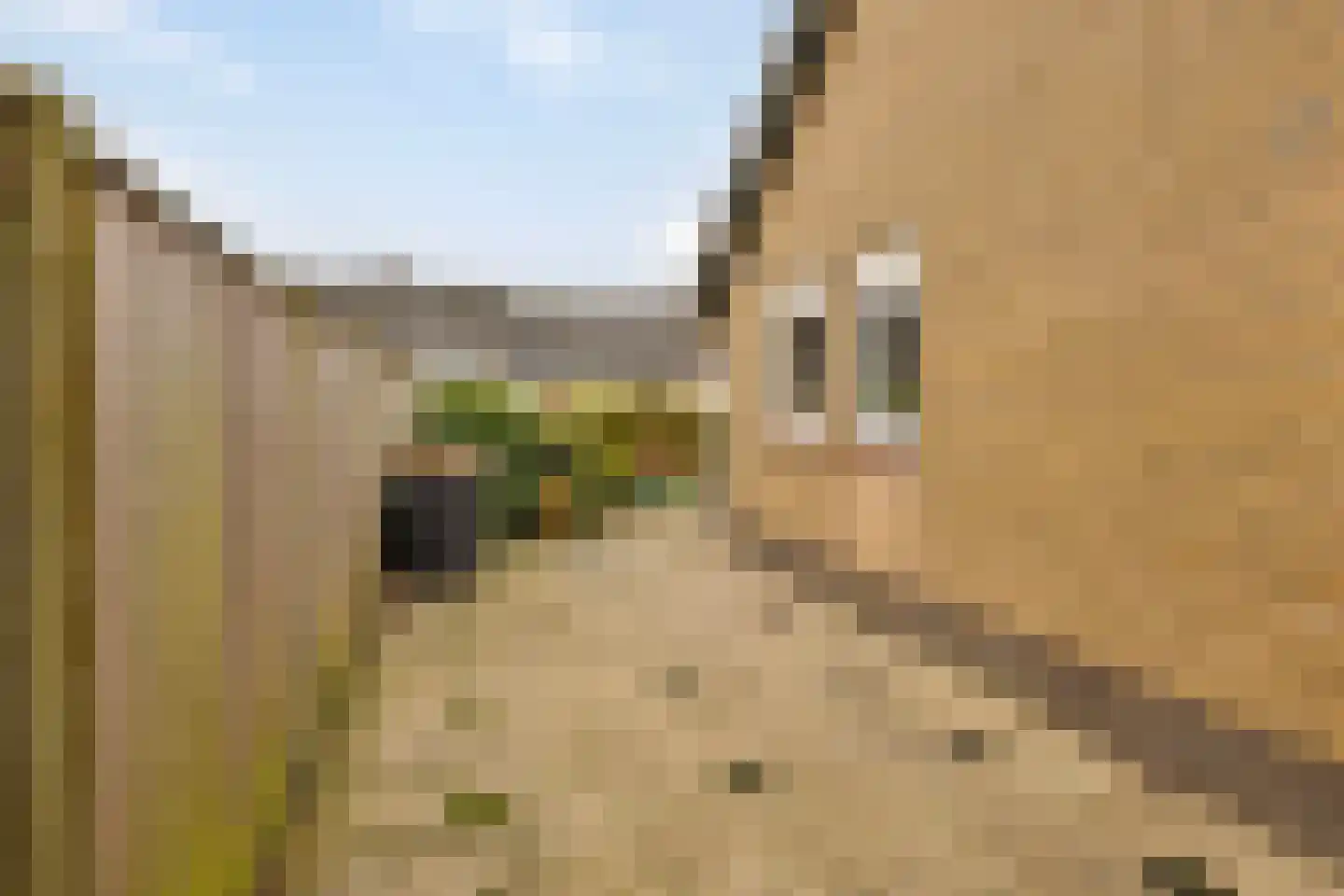 Gagelstraat 23 Hollandscheveld thumbnail 32