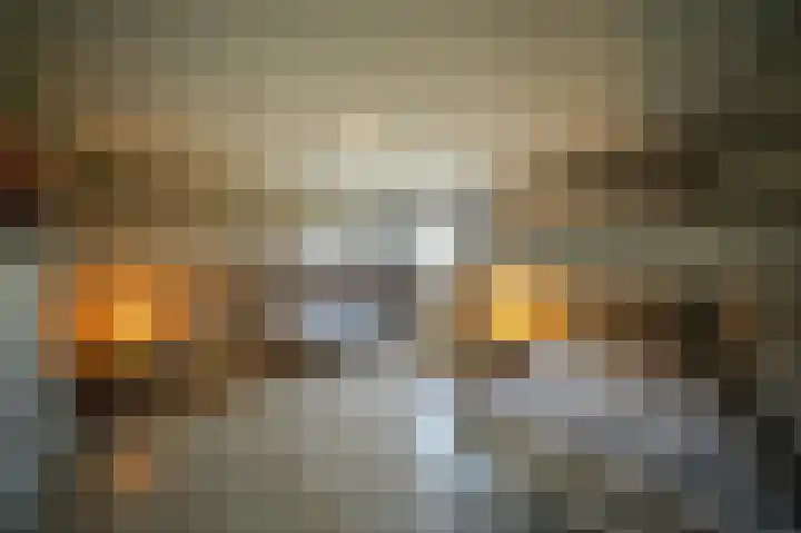 Gagelstraat 4 Venhorst thumbnail 35
