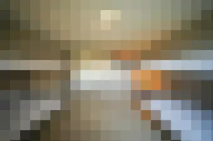 Gagelstraat 4 Venhorst thumbnail 36