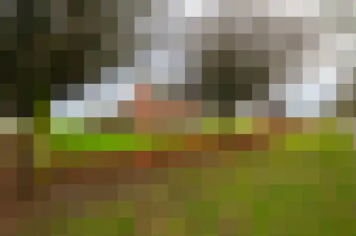 Gagelstraat 4 Venhorst thumbnail 38