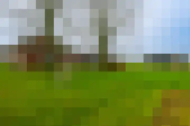 Gagelstraat 4 Venhorst thumbnail 39