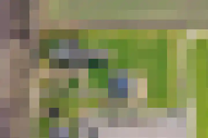 Gagelstraat 4 Venhorst thumbnail 4