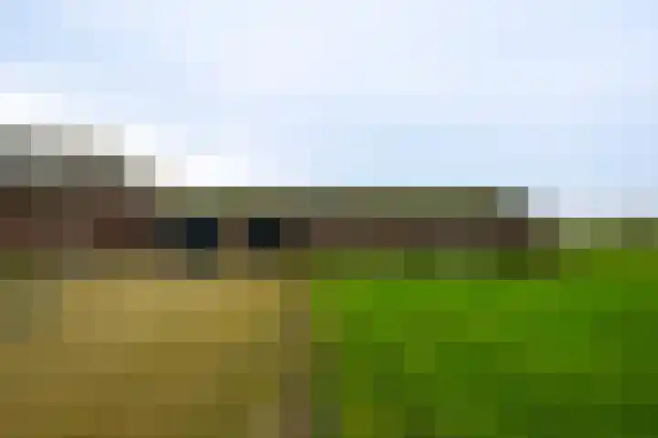 Gagelstraat 4 Venhorst thumbnail 42