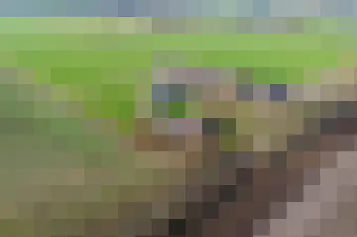 Gagelstraat 4 Venhorst thumbnail 47
