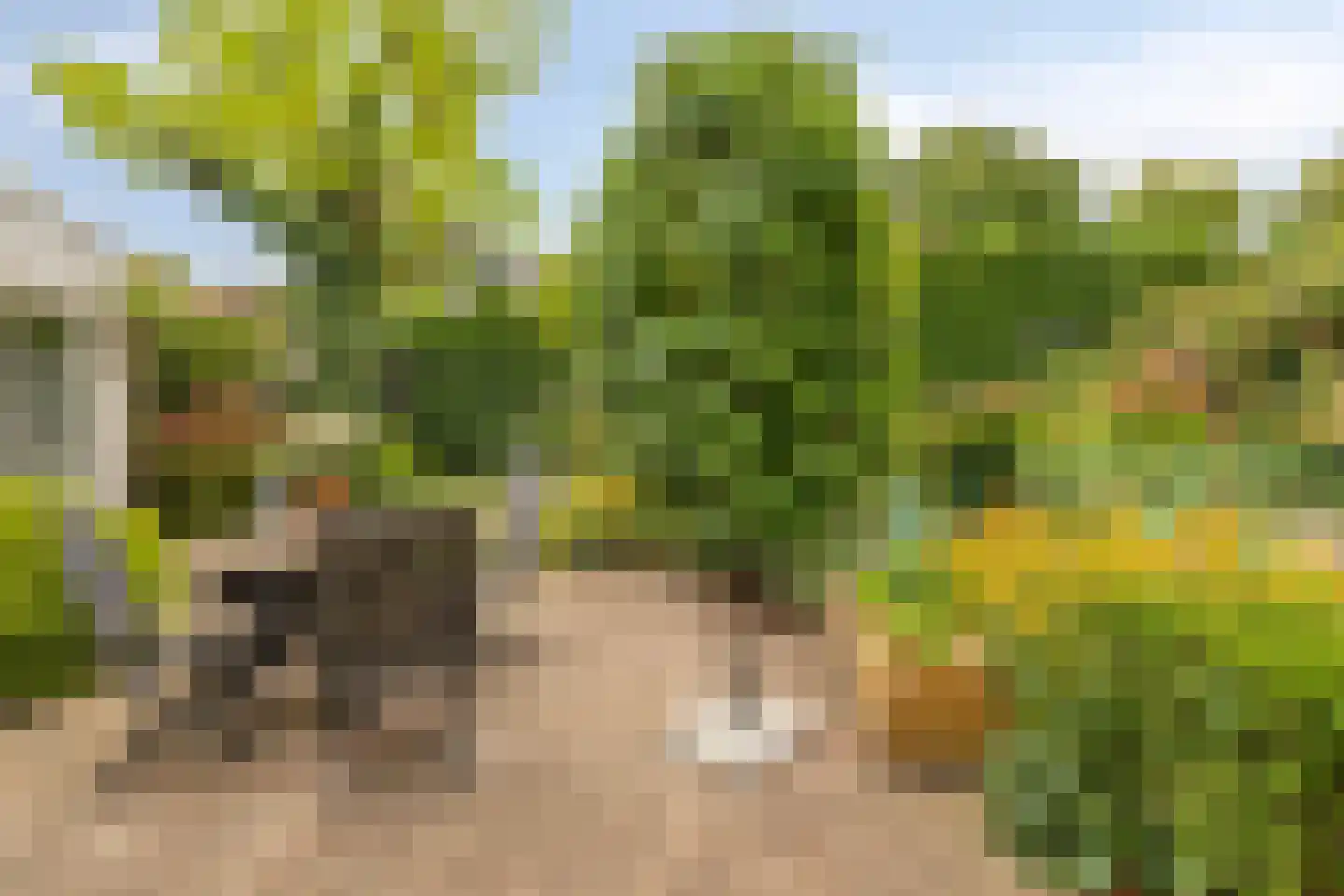 Gagelstraat 5 Oisterwijk thumbnail 36