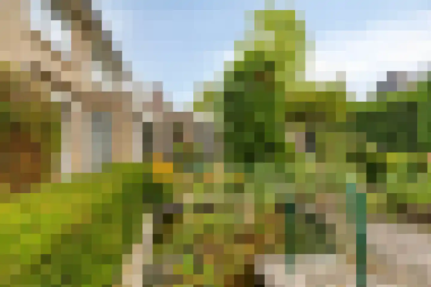 Gagelstraat 5 Oisterwijk thumbnail 37