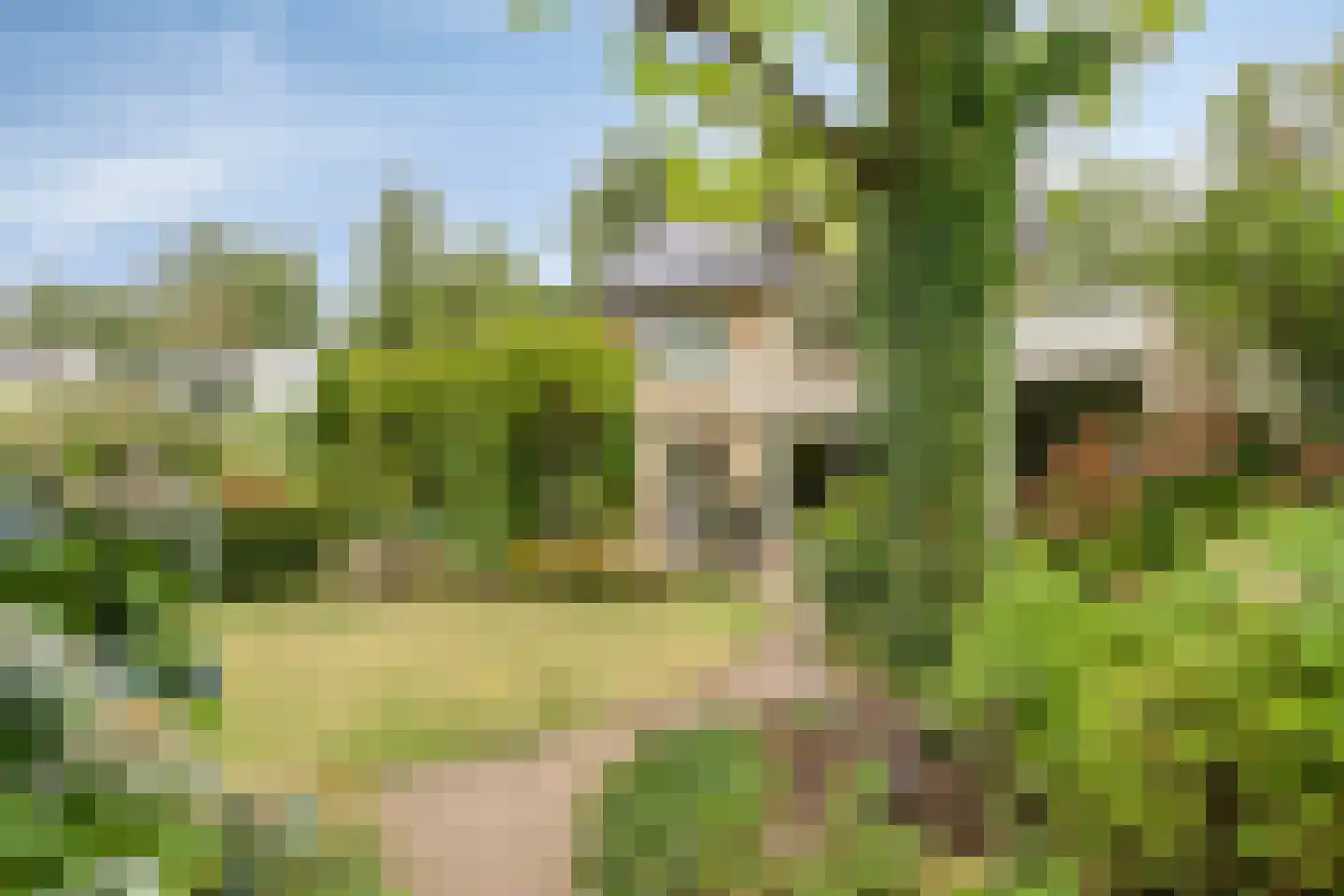 Gagelstraat 5 Oisterwijk thumbnail 39