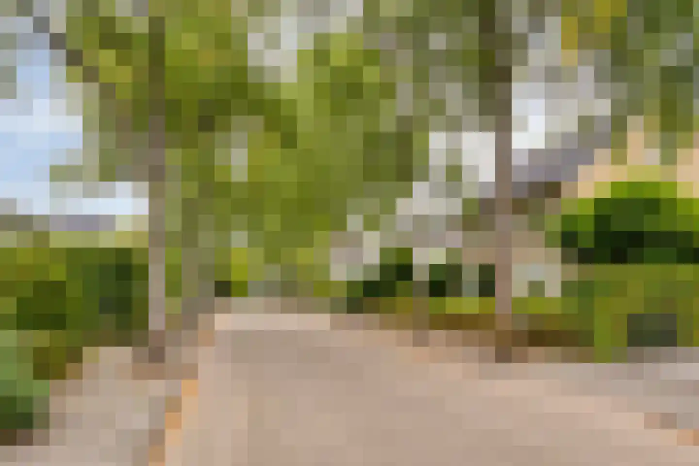 Gagelstraat 5 Oisterwijk thumbnail 42