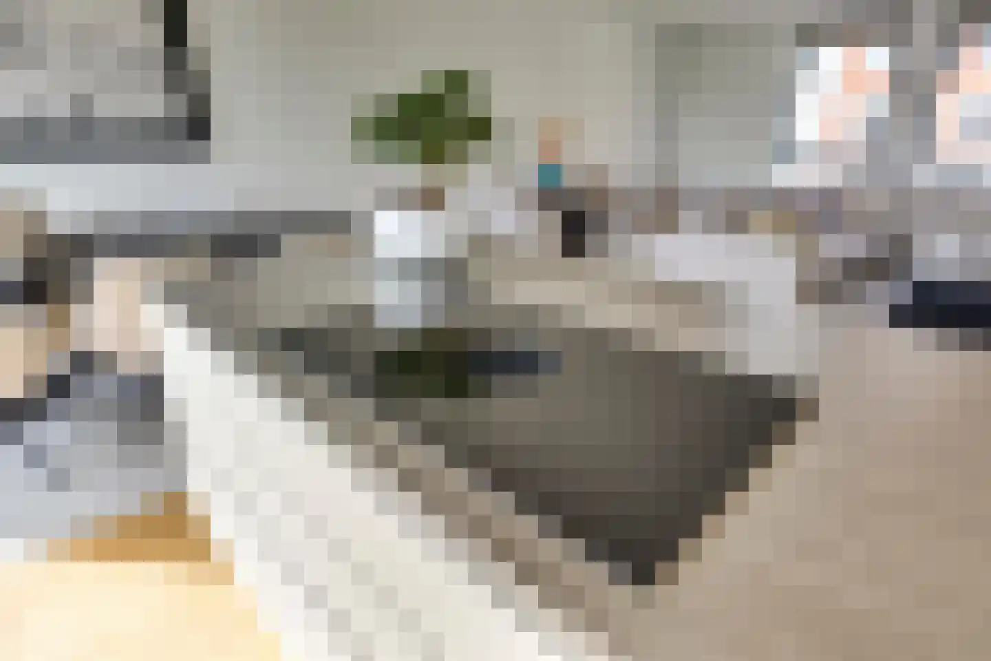 Gagelstraat 75 A Eindhoven thumbnail 14