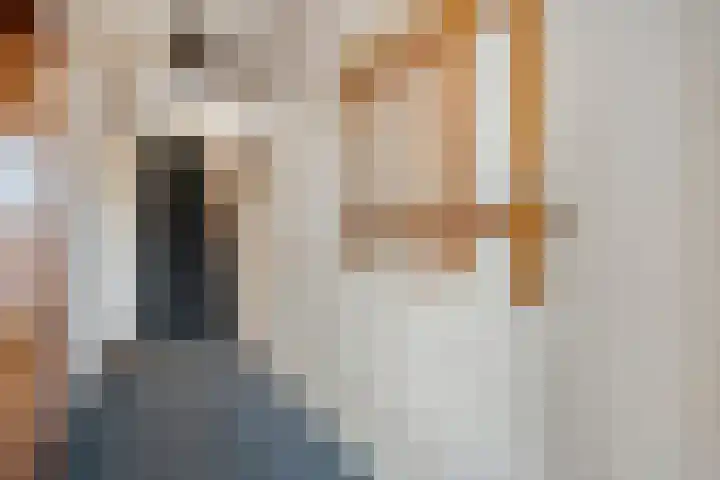 Gagelsweg 50 Steenwijk thumbnail 15