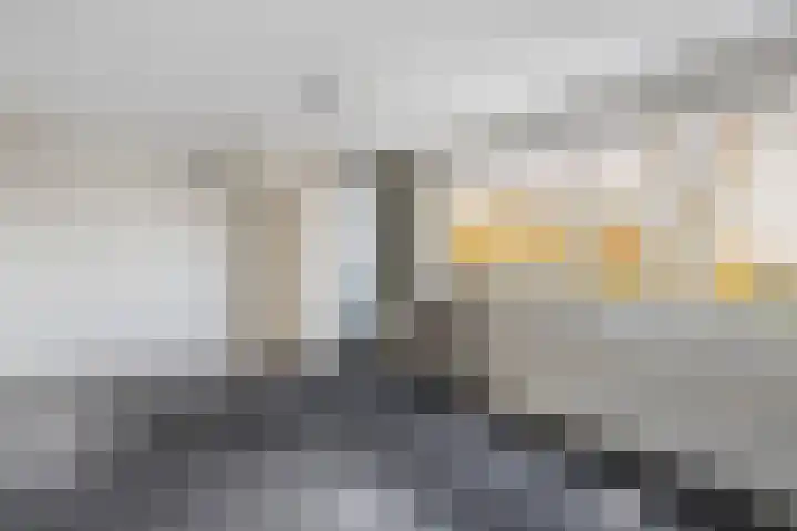 Gagelsweg 50 Steenwijk thumbnail 19