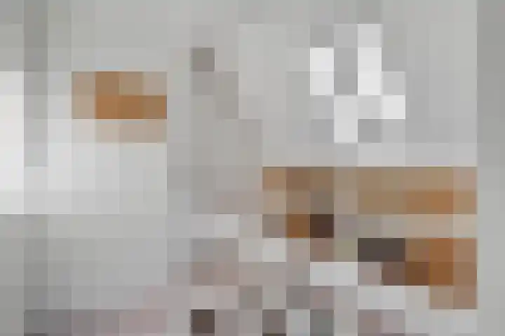 Gagelsweg 50 Steenwijk thumbnail 22
