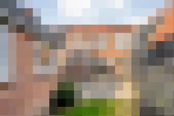 Gagelsweg 50 Steenwijk thumbnail 26