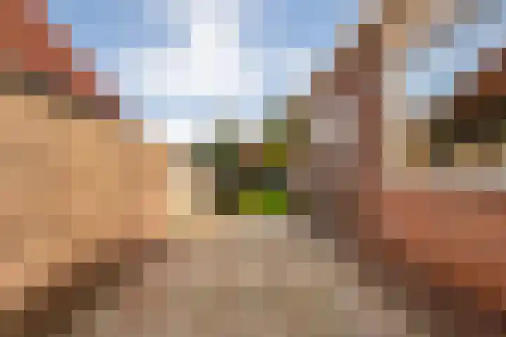 Gagelsweg 50 Steenwijk thumbnail 27