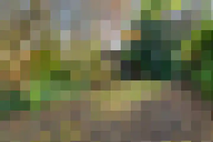 Gagelsweg 50 Steenwijk thumbnail 28
